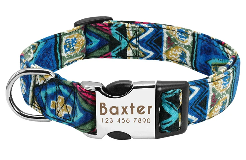 Custom Engraved Dog Collar