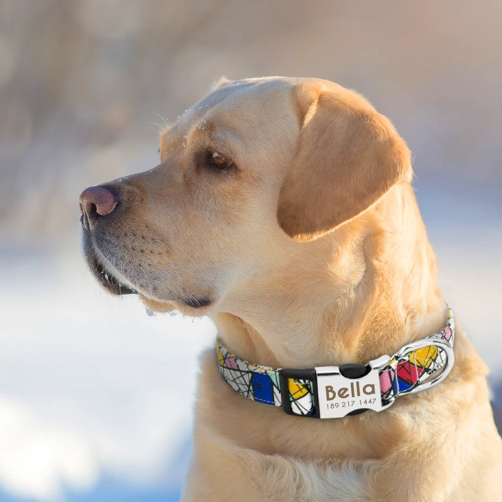 Custom Engraved Dog Collar