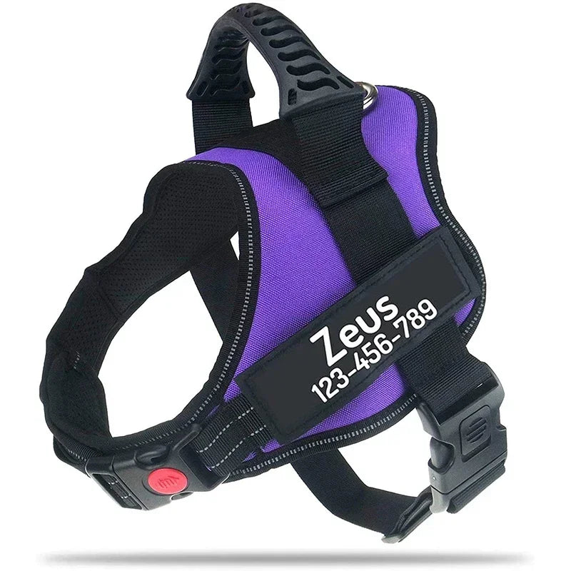 Custom Dog Harness