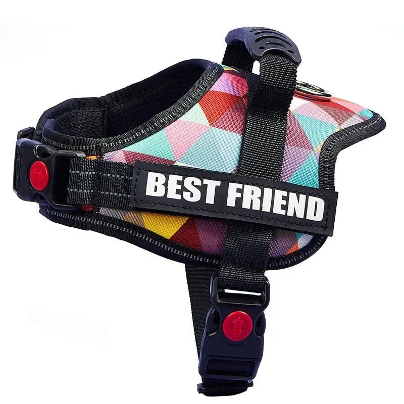 Custom Dog Harness