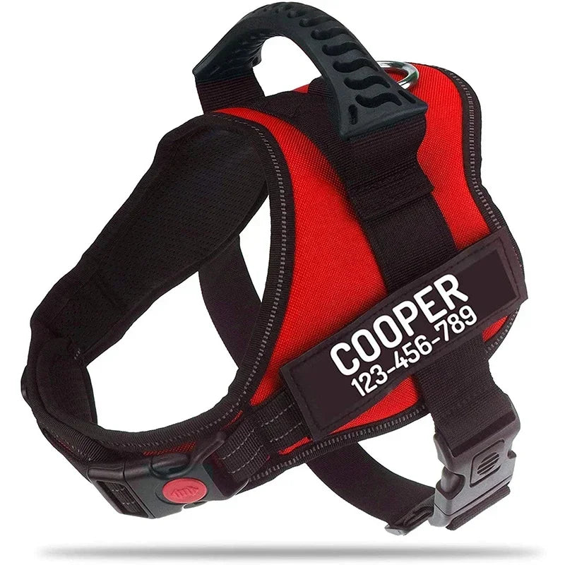 Custom Dog Harness