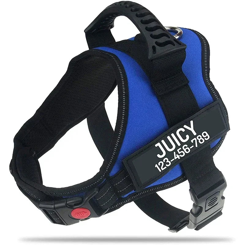 Custom Dog Harness