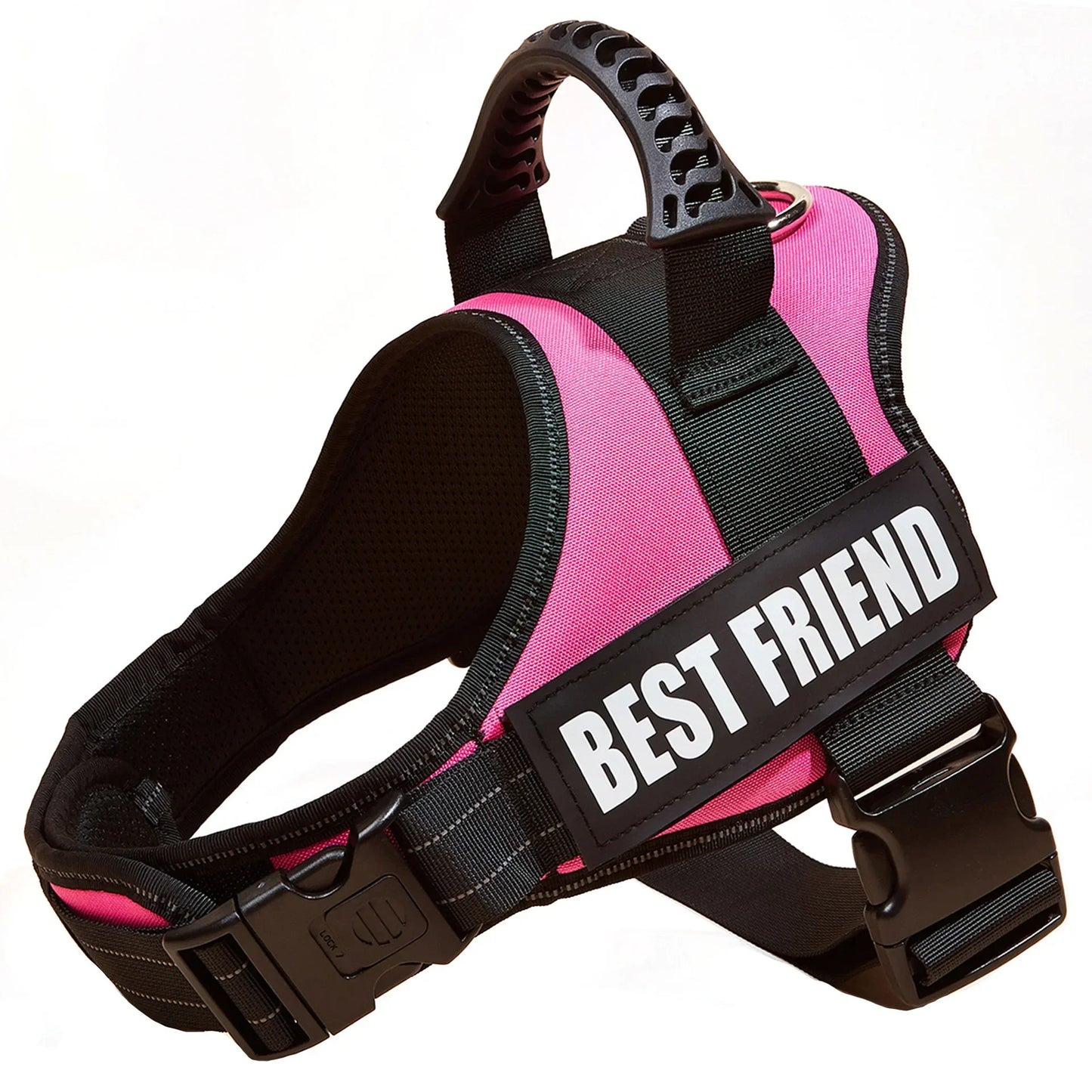 Custom Dog Harness